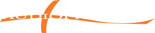 Polo Logo